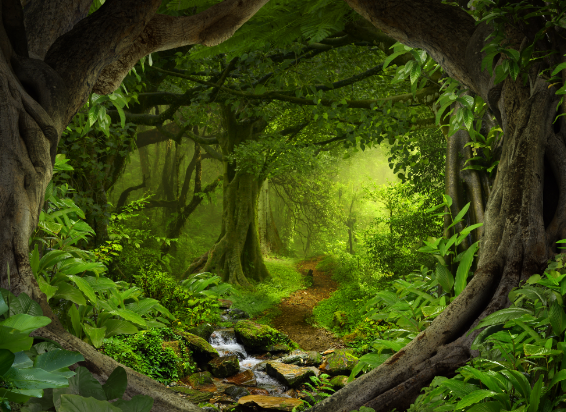 CLICK for lab-grown diamonds