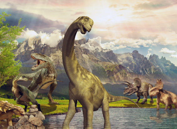 CLICK for lab-grown diamonds